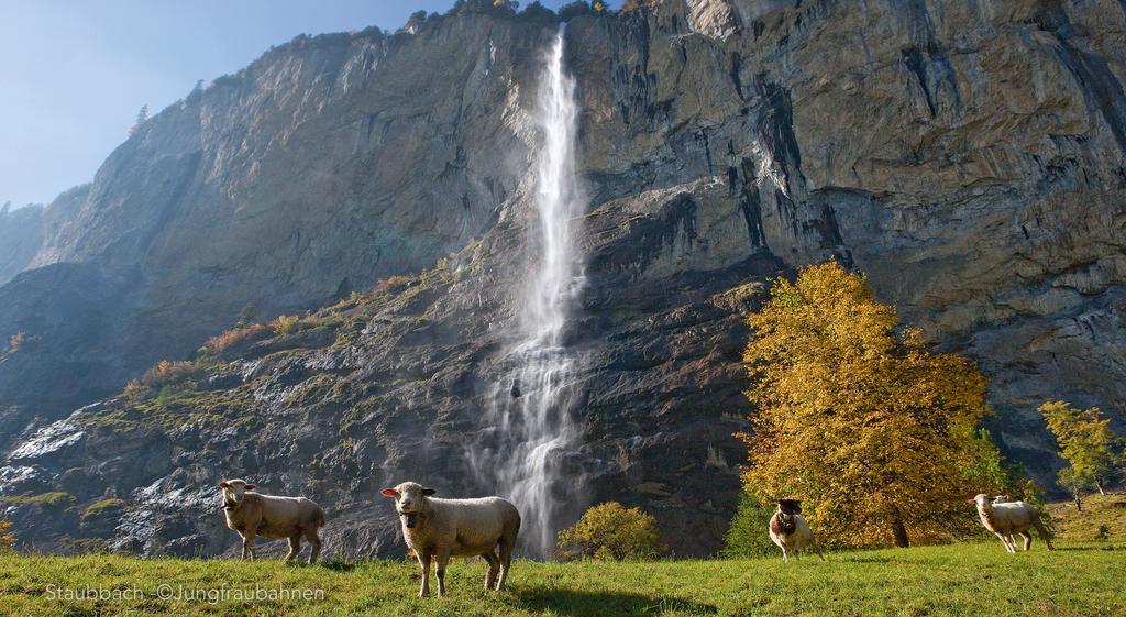 Camping Jungfrau Lauterbrunnen Εξωτερικό φωτογραφία
