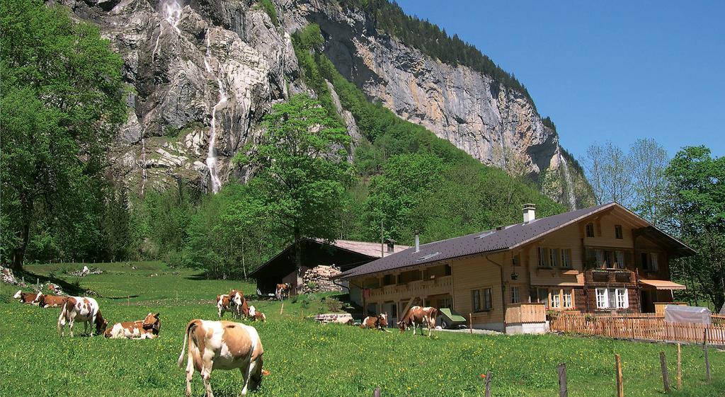 Camping Jungfrau Lauterbrunnen Εξωτερικό φωτογραφία