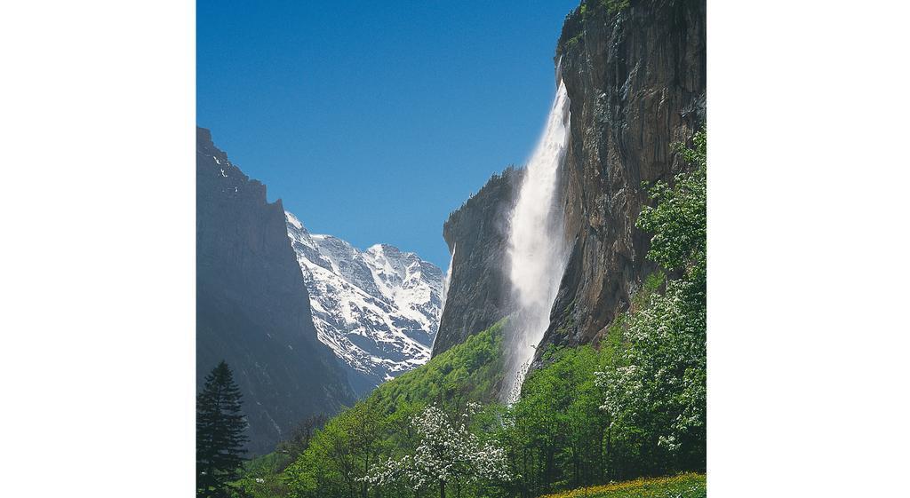Camping Jungfrau Lauterbrunnen Εξωτερικό φωτογραφία